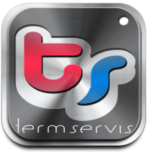 ООО "Терм Сервис"